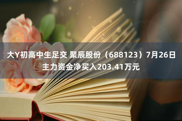 大Y初高中生足交 聚辰股份（688123）7月26日主力资金净买入203.41万元