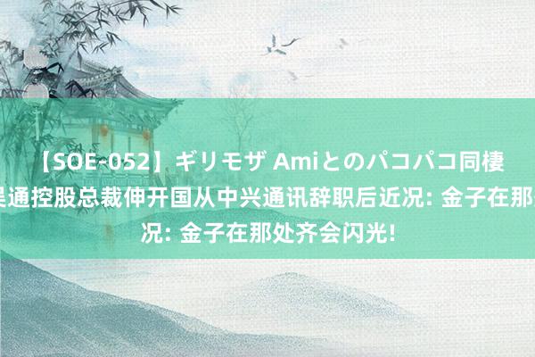 【SOE-052】ギリモザ Amiとのパコパコ同棲生活 Ami 吴通控股总裁伸开国从中兴通讯辞职后近况: 金子在那处齐会闪光!