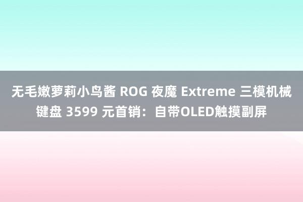 无毛嫩萝莉小鸟酱 ROG 夜魔 Extreme 三模机械键盘 3599 元首销：自带OLED触摸副屏