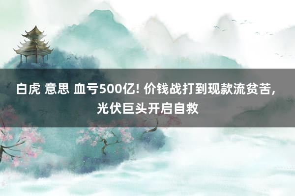 白虎 意思 血亏500亿! 价钱战打到现款流贫苦, 光伏巨头开启自救