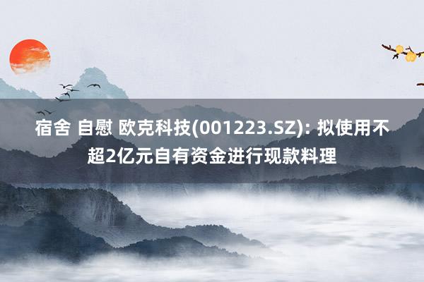 宿舍 自慰 欧克科技(001223.SZ): 拟使用不超2亿元自有资金进行现款料理