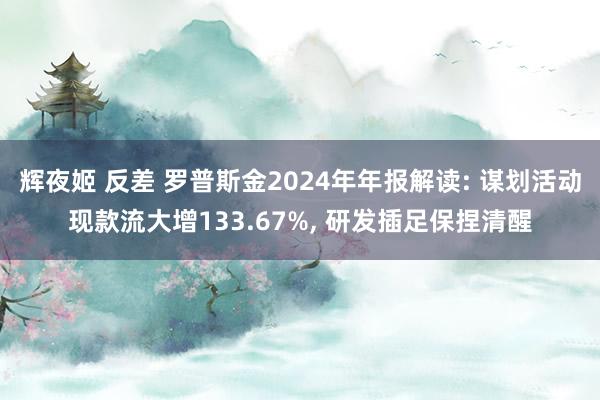 辉夜姬 反差 罗普斯金2024年年报解读: 谋划活动现款流大增133.67%, 研发插足保捏清醒